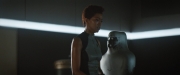Filename=extant_StarTrekDiscovery_2x10-TheRedAngel_03448.jpg
Filesize=101KiB
Dimensions=1920x800
Date added=Dec 09, 2019 extant_StarTrekDiscovery_2x10-TheRedAngel_03448.jpg