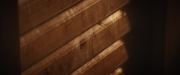 extant_StarTrekDiscovery_2x10-TheRedAngel_03963.jpg