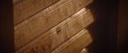 extant_StarTrekDiscovery_2x10-TheRedAngel_05423.jpg