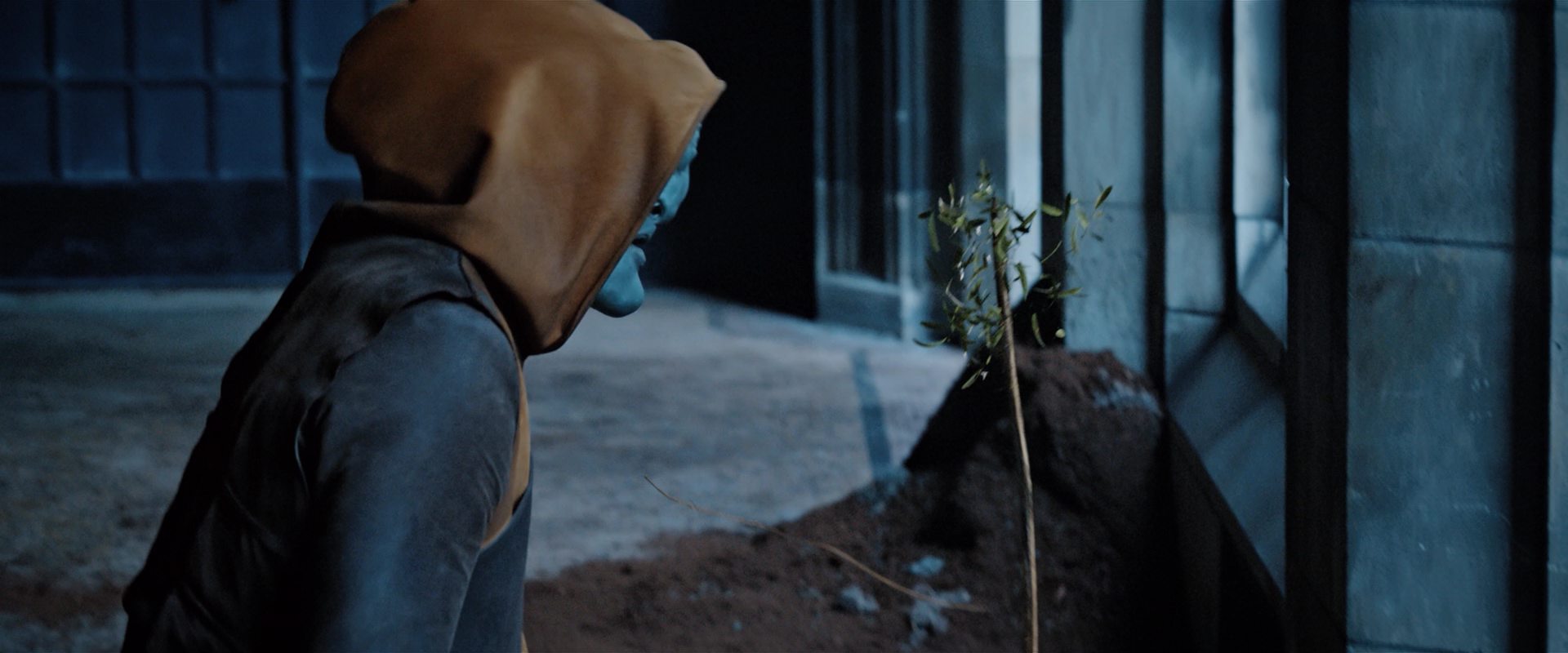 extant_StarTrekDiscovery_2x12-ThroughTheValleyOfShadows_02106.jpg