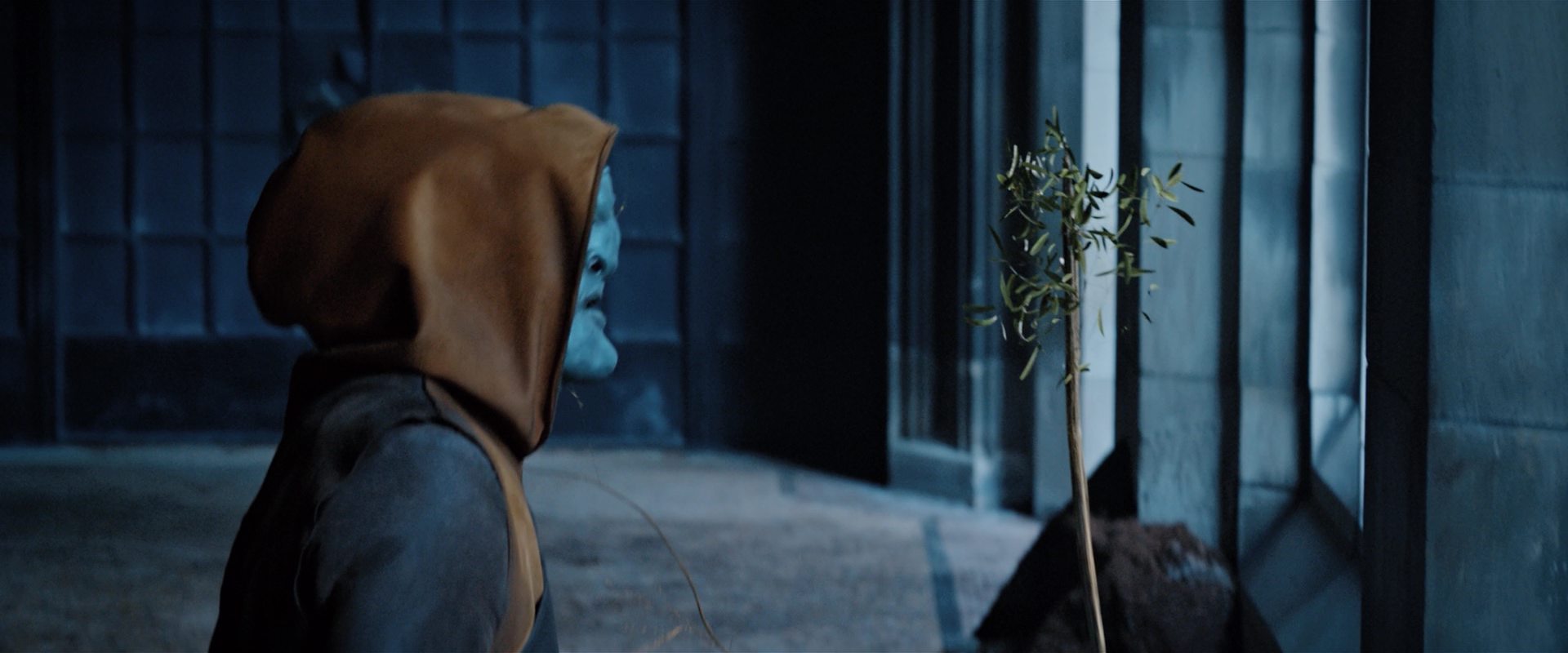 extant_StarTrekDiscovery_2x12-ThroughTheValleyOfShadows_02107.jpg