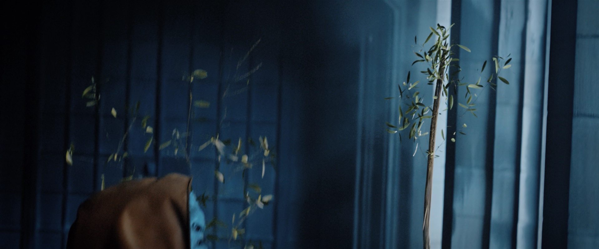 extant_StarTrekDiscovery_2x12-ThroughTheValleyOfShadows_02109.jpg