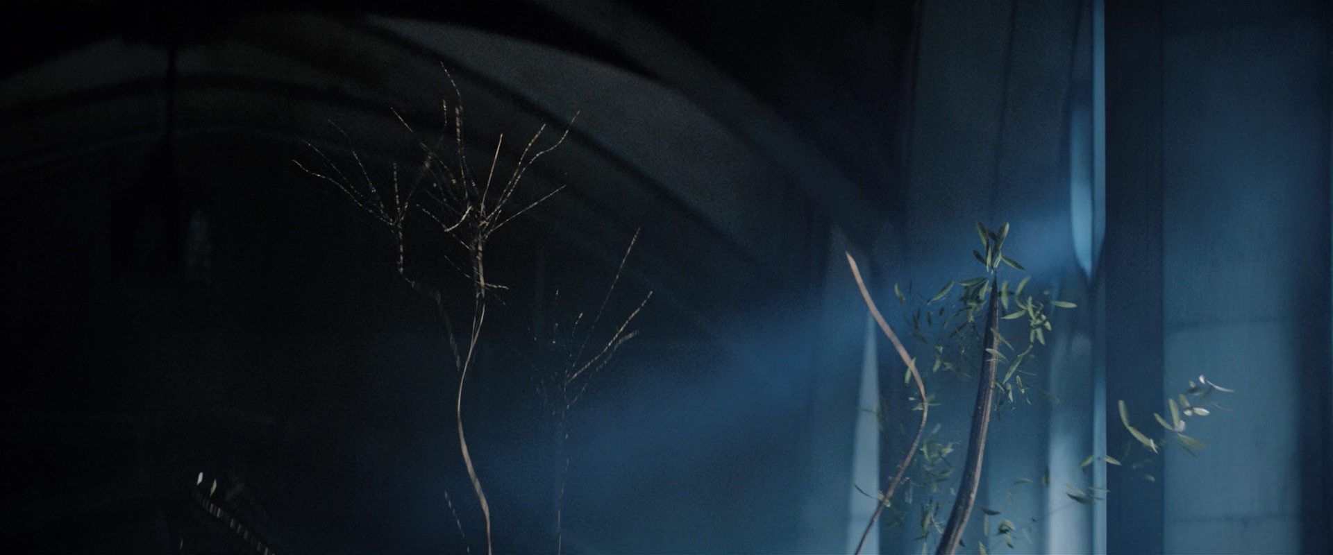 extant_StarTrekDiscovery_2x12-ThroughTheValleyOfShadows_02112.jpg