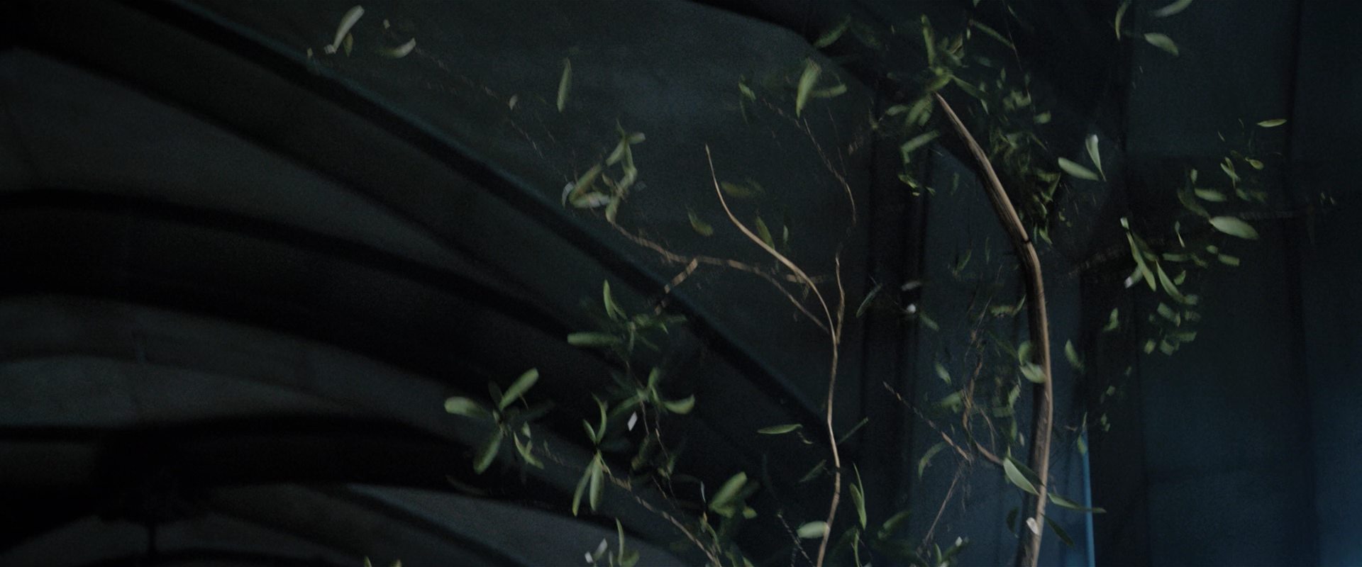 extant_StarTrekDiscovery_2x12-ThroughTheValleyOfShadows_02115.jpg