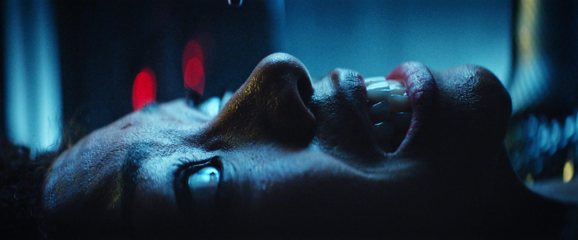 extant_StarTrekDiscovery_2x12-ThroughTheValleyOfShadows_04502.jpg extant_StarTrekDiscovery_2x12-ThroughTheValleyOfShadows_04502.jpg