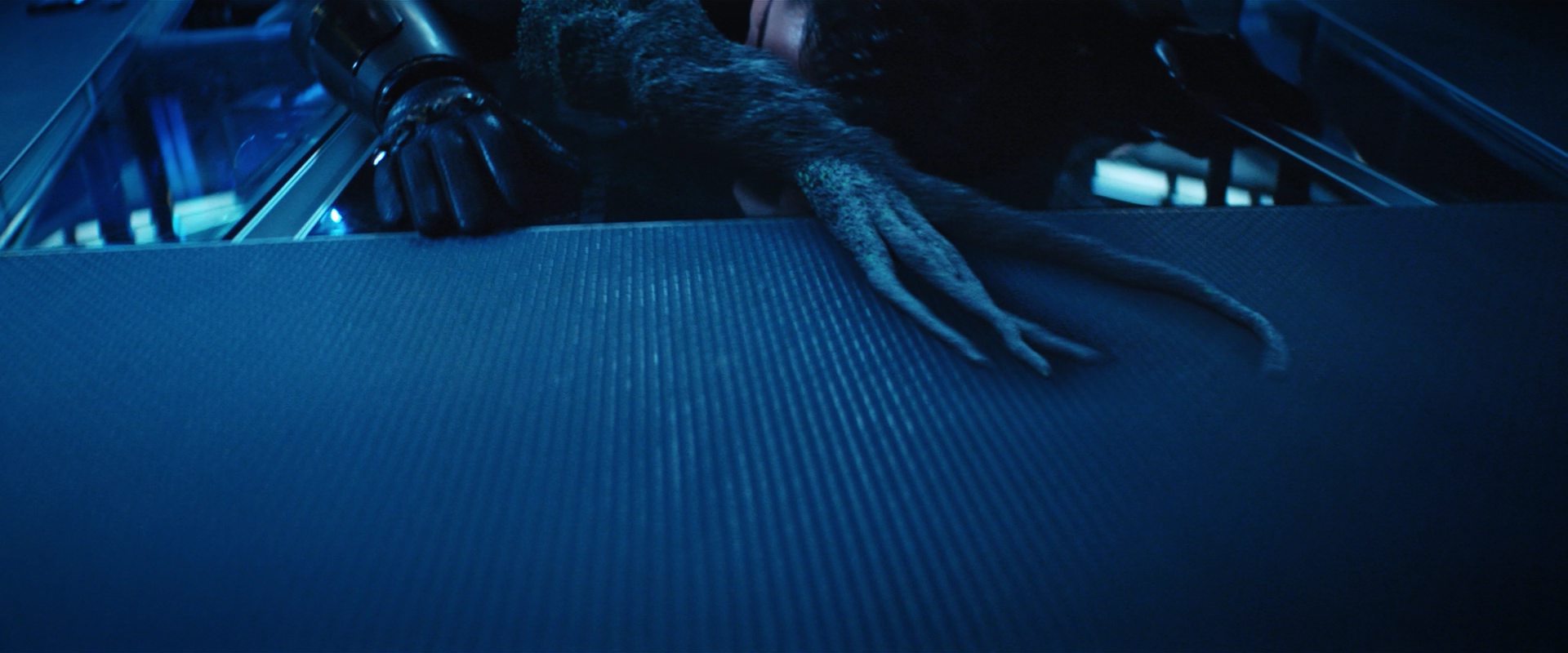 extant_StarTrekDiscovery_2x12-ThroughTheValleyOfShadows_04622.jpg
