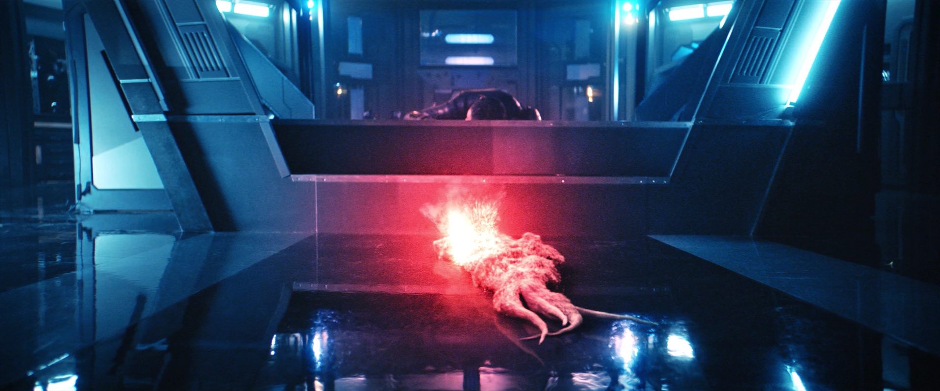 extant_StarTrekDiscovery_2x12-ThroughTheValleyOfShadows_04653.jpg