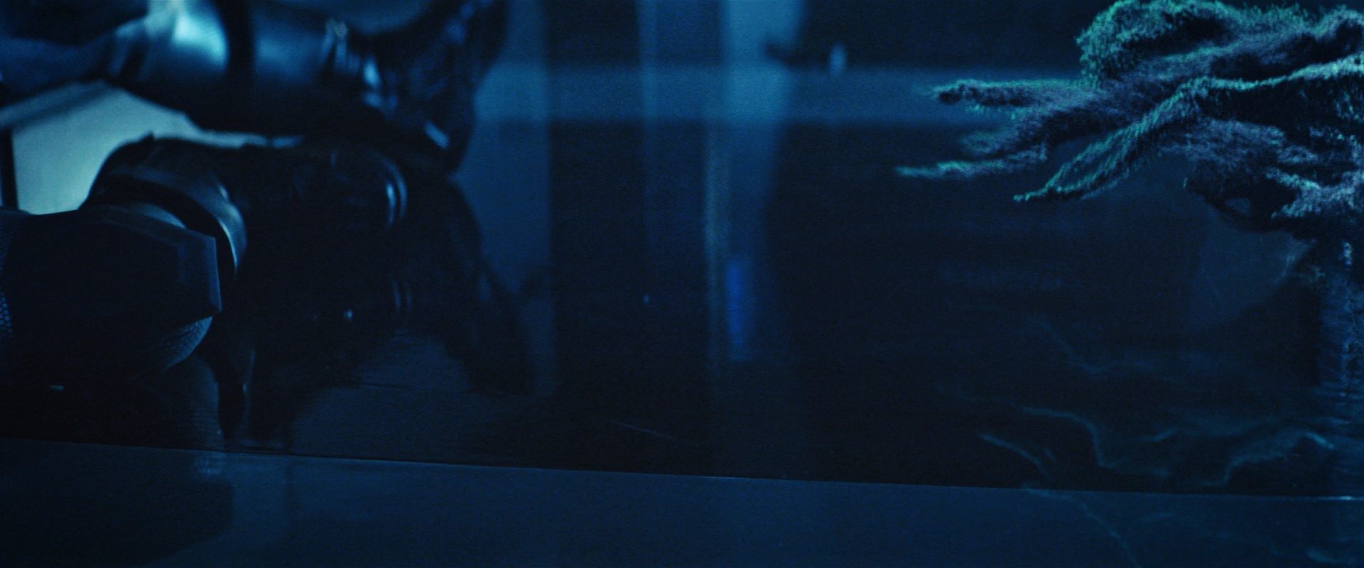 extant_StarTrekDiscovery_2x12-ThroughTheValleyOfShadows_04659.jpg