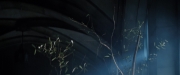 extant_StarTrekDiscovery_2x12-ThroughTheValleyOfShadows_02113.jpg