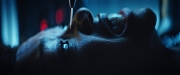 Filename=extant_StarTrekDiscovery_2x12-ThroughTheValleyOfShadows_04505.jpg
Filesize=124KiB
Dimensions=1920x800
Date added=Dec 09, 2019 extant_StarTrekDiscovery_2x12-ThroughTheValleyOfShadows_04505.jpg