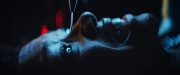 Filename=extant_StarTrekDiscovery_2x12-ThroughTheValleyOfShadows_04506.jpg
Filesize=98KiB
Dimensions=1920x800
Date added=Dec 09, 2019 extant_StarTrekDiscovery_2x12-ThroughTheValleyOfShadows_04506.jpg