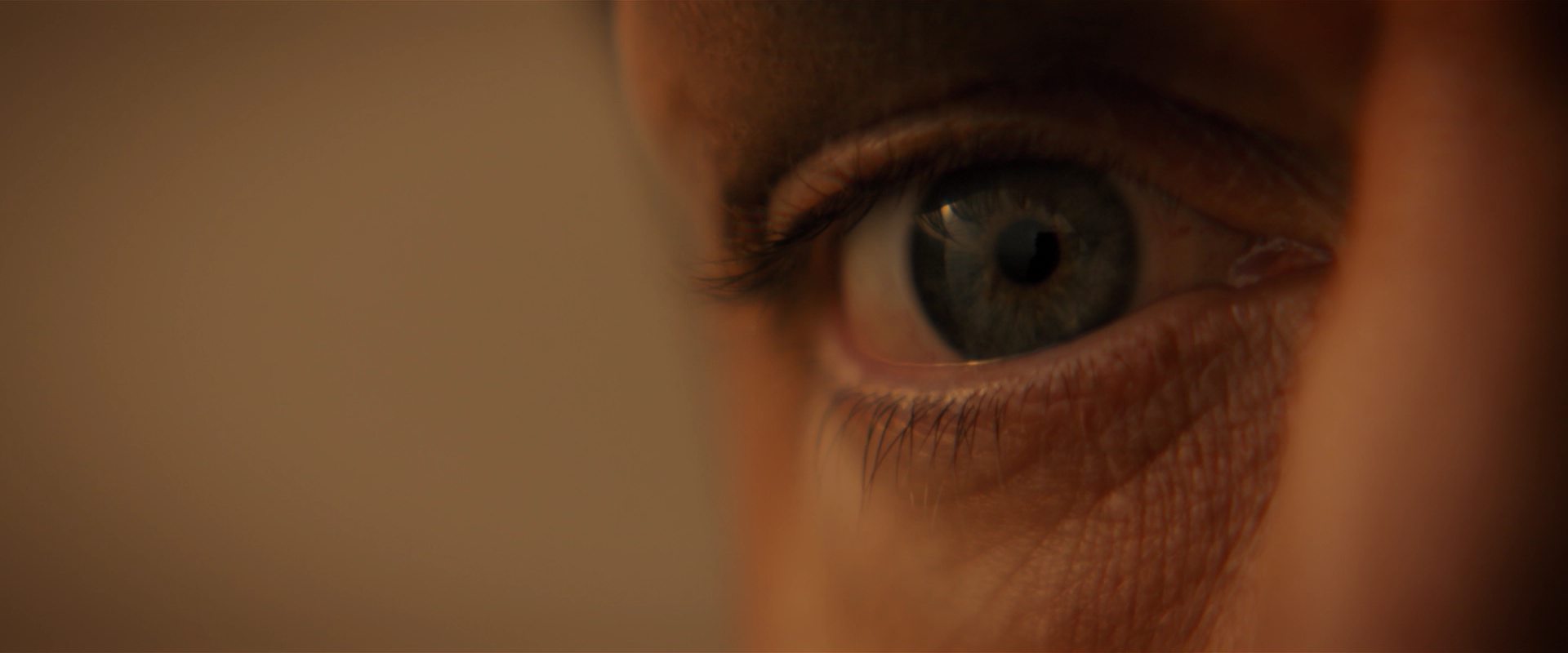 extant_StarTrekDiscovery_2x13-SuchSweetSorrowPart1_00265.jpg