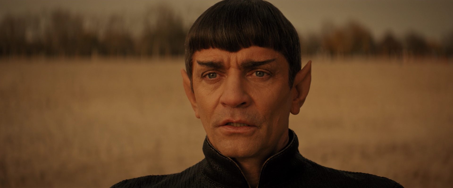 extant_StarTrekDiscovery_2x13-SuchSweetSorrowPart1_00269.jpg