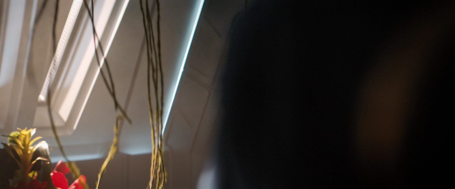 extant_StarTrekDiscovery_2x13-SuchSweetSorrowPart1_00315.jpg