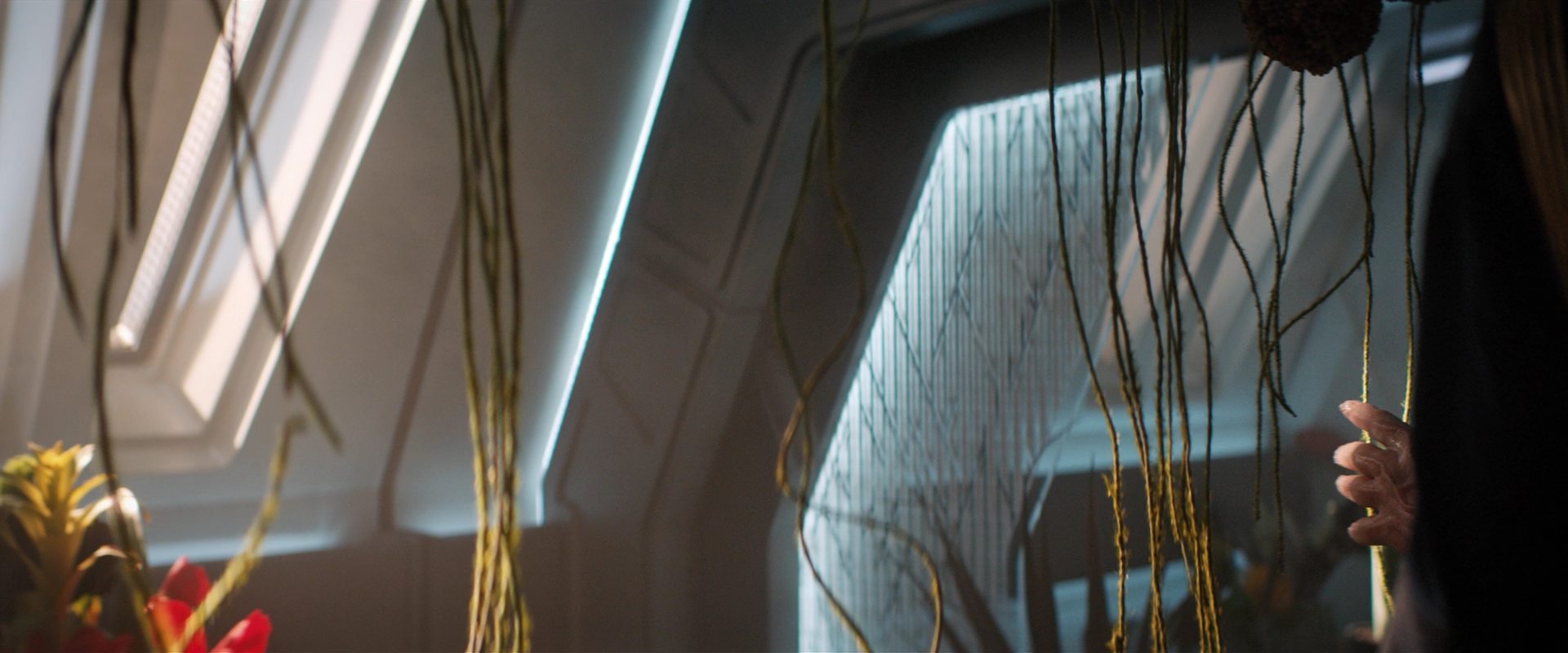 extant_StarTrekDiscovery_2x13-SuchSweetSorrowPart1_00316.jpg