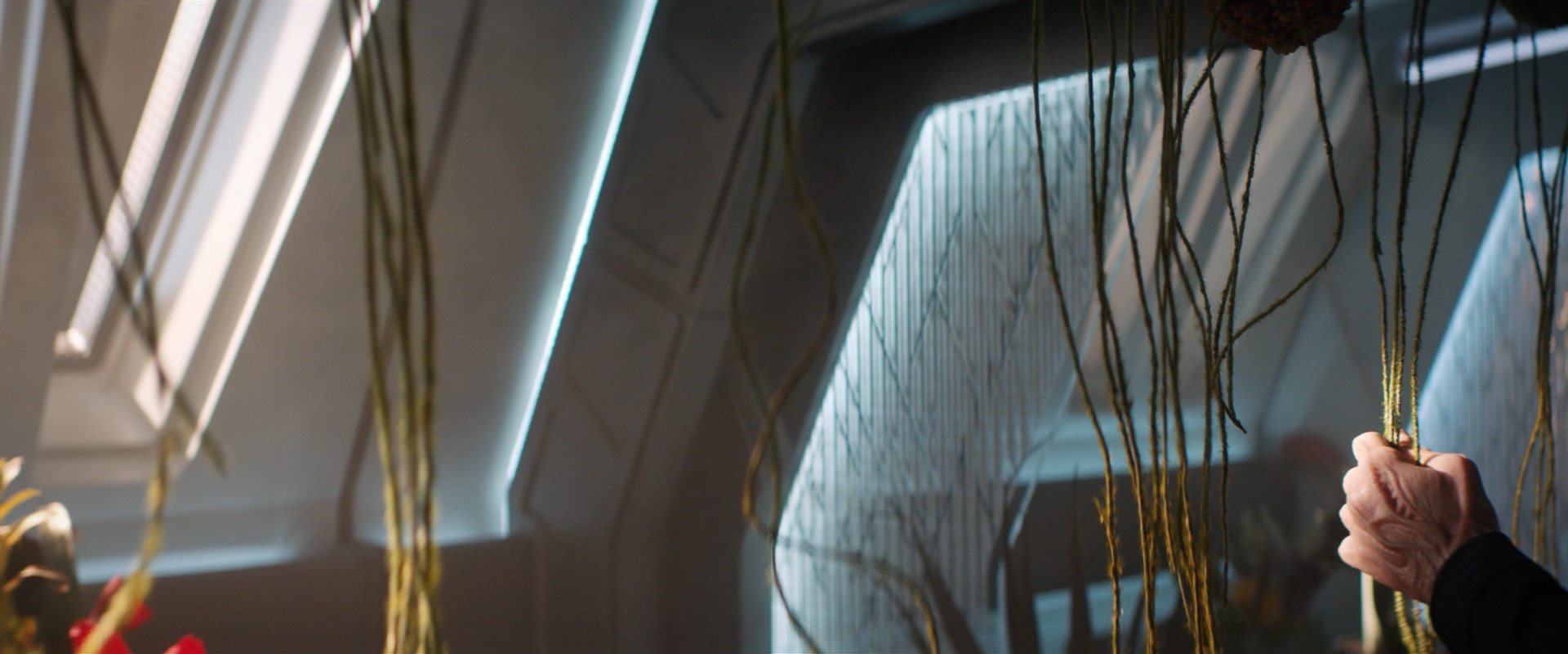 extant_StarTrekDiscovery_2x13-SuchSweetSorrowPart1_00317.jpg