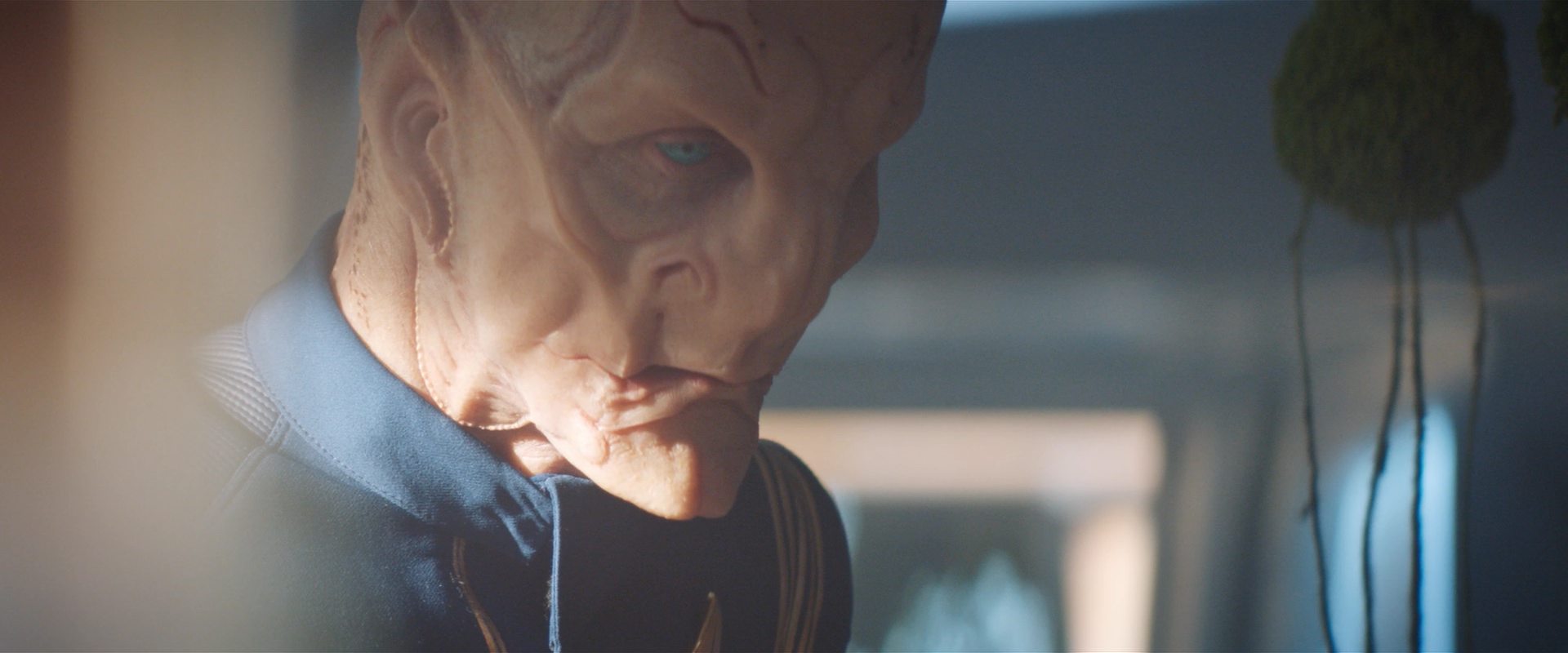 extant_StarTrekDiscovery_2x13-SuchSweetSorrowPart1_00330.jpg