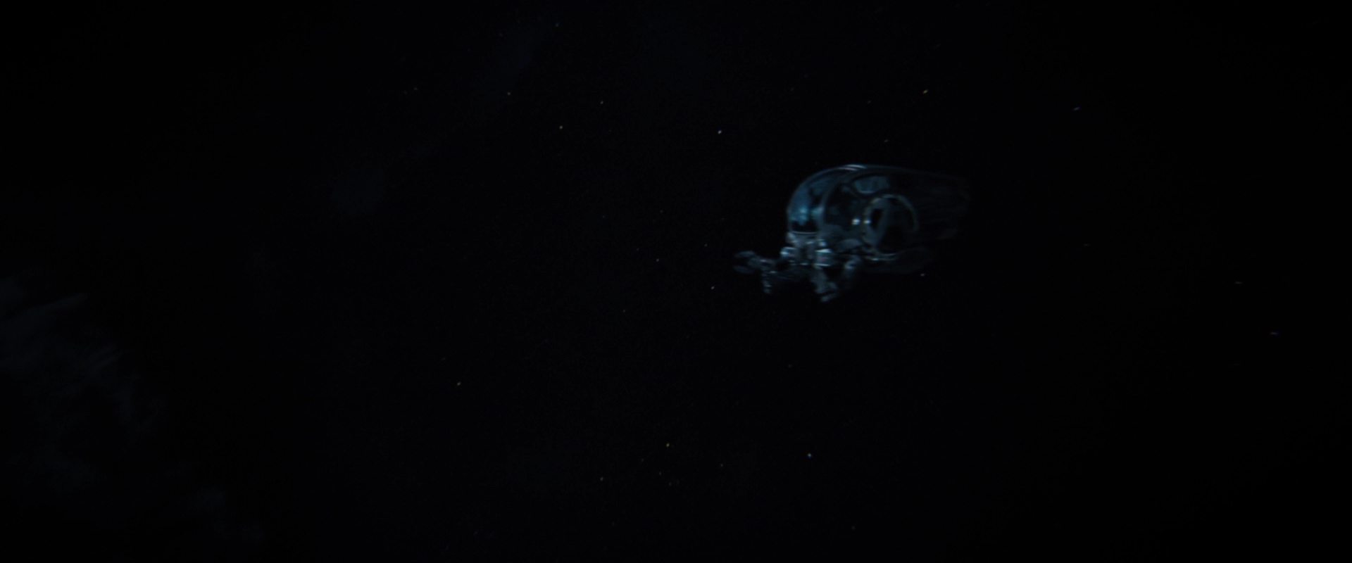 extant_StarTrekDiscovery_2x13-SuchSweetSorrowPart1_03056.jpg