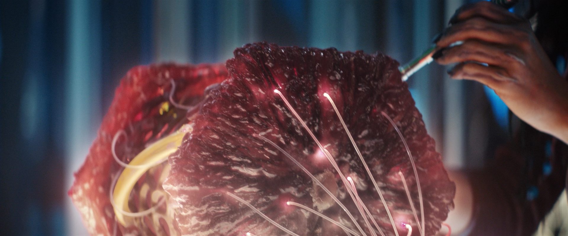 extant_StarTrekDiscovery_2x13-SuchSweetSorrowPart1_03457.jpg