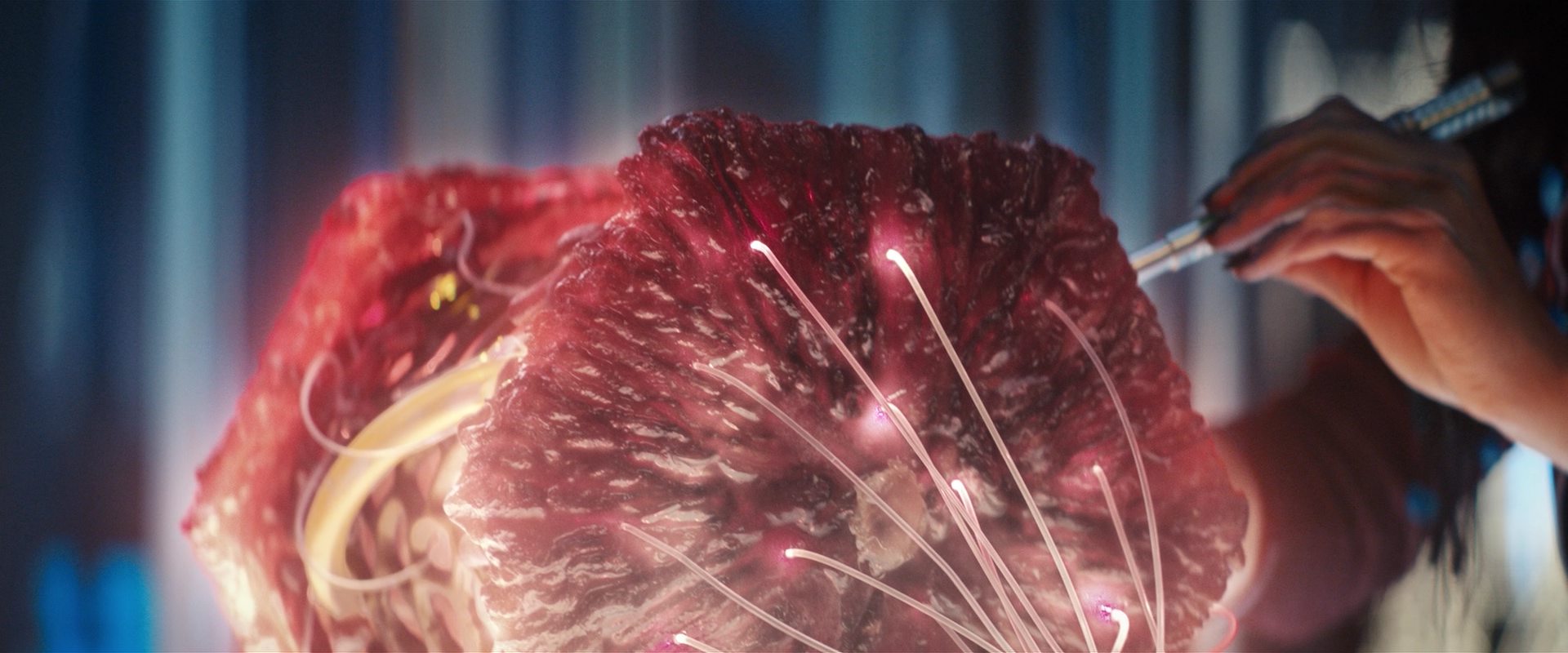 extant_StarTrekDiscovery_2x13-SuchSweetSorrowPart1_03459.jpg