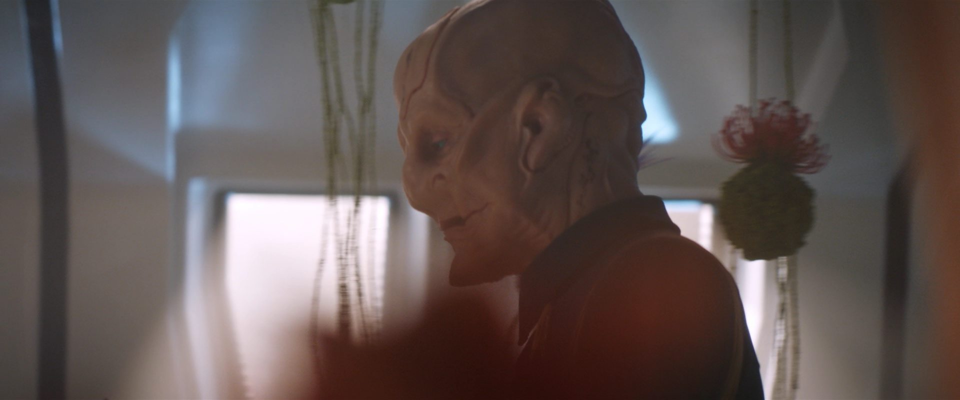 extant_StarTrekDiscovery_2x13-SuchSweetSorrowPart1_04480.jpg