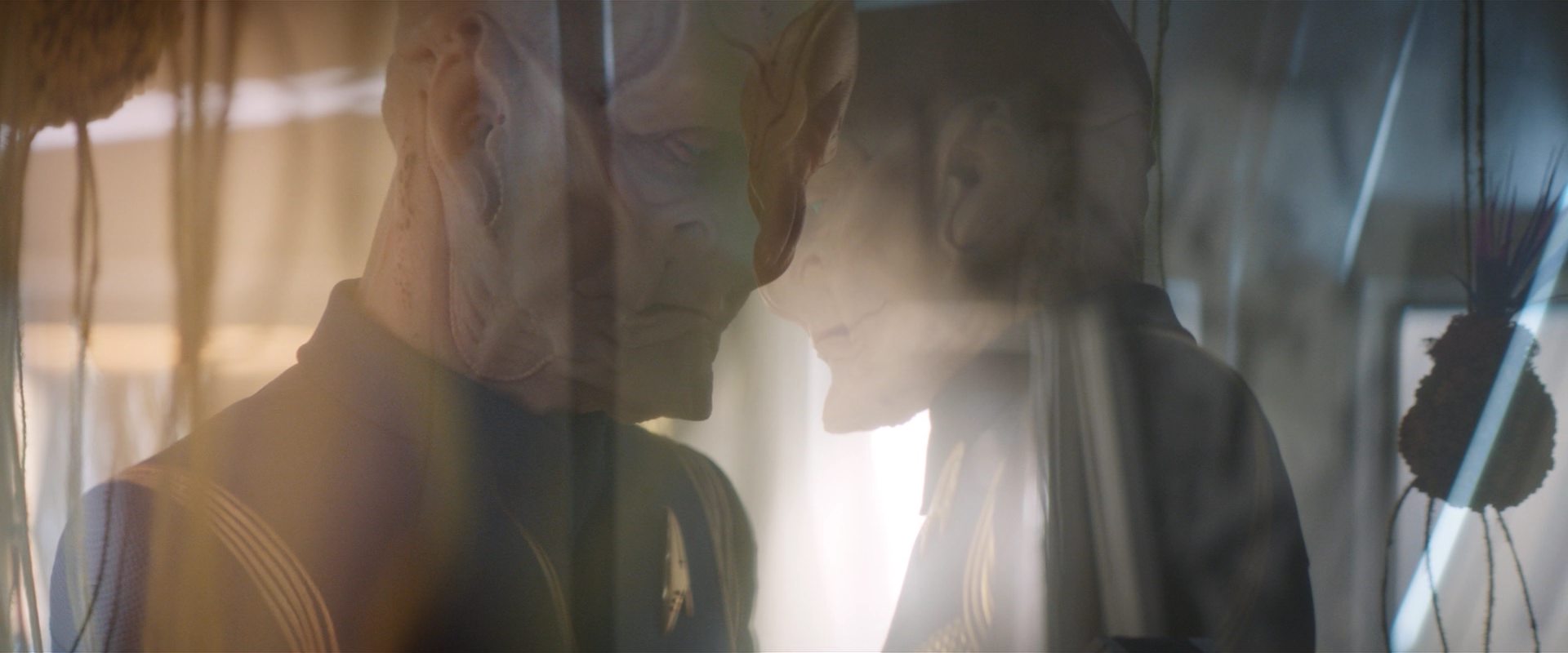 extant_StarTrekDiscovery_2x13-SuchSweetSorrowPart1_04483.jpg