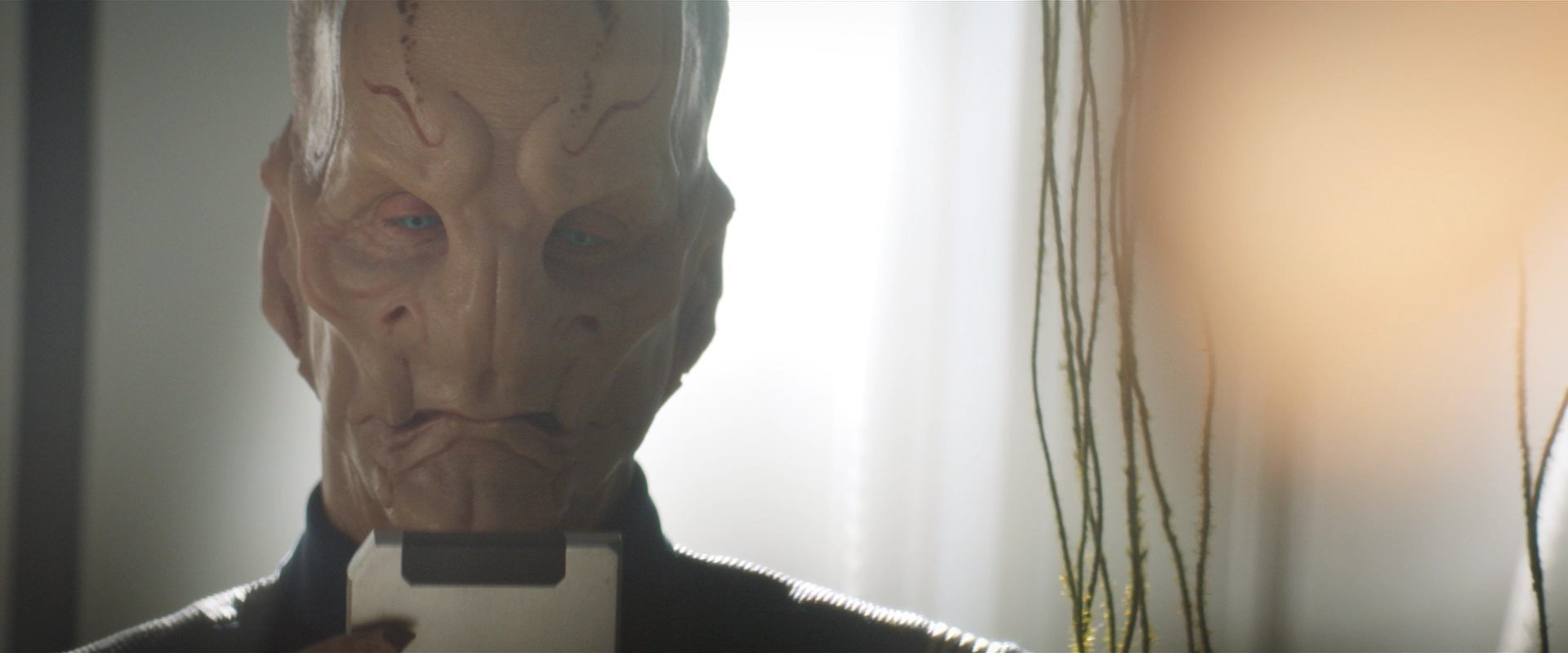extant_StarTrekDiscovery_2x13-SuchSweetSorrowPart1_04505.jpg