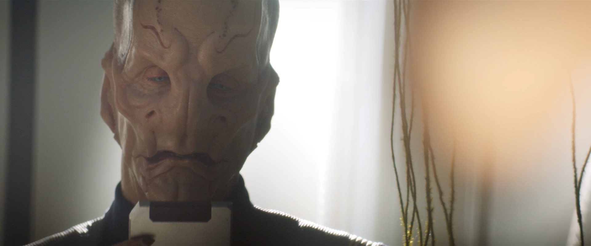 extant_StarTrekDiscovery_2x13-SuchSweetSorrowPart1_04506.jpg