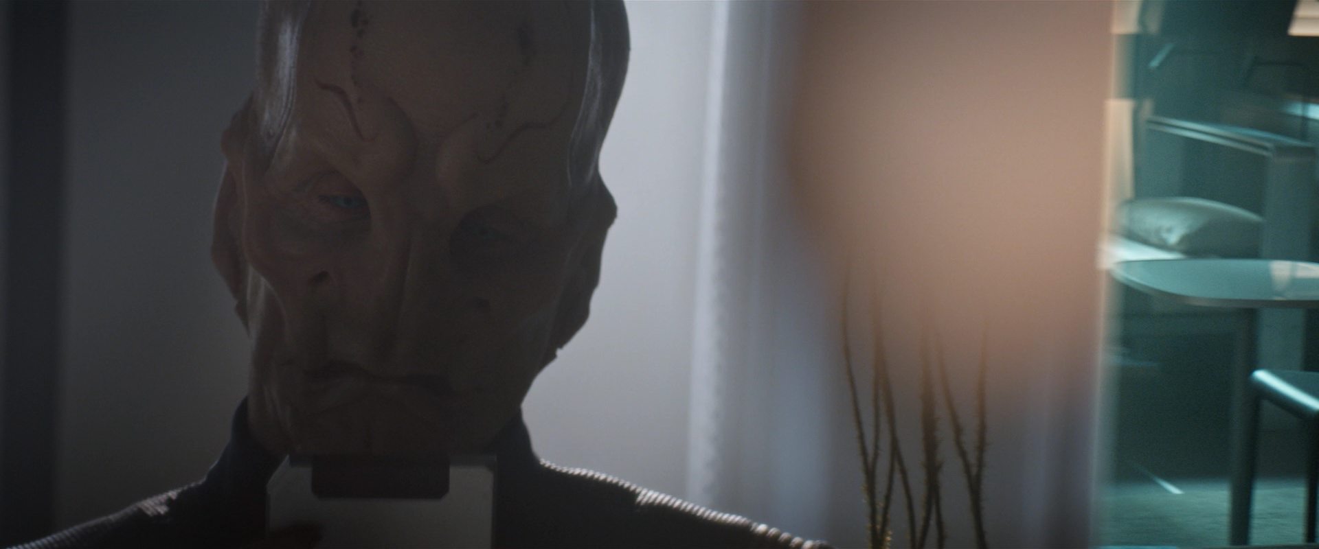 extant_StarTrekDiscovery_2x13-SuchSweetSorrowPart1_04509.jpg