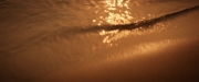 Filename=extant_StarTrekDiscovery_2x13-SuchSweetSorrowPart1_00246.jpg
Filesize=78KiB
Dimensions=1920x800
Date added=Dec 09, 2019 extant_StarTrekDiscovery_2x13-SuchSweetSorrowPart1_00246.jpg