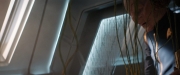 Filename=extant_StarTrekDiscovery_2x13-SuchSweetSorrowPart1_00319.jpg
Filesize=144KiB
Dimensions=1920x800
Date added=Dec 09, 2019 extant_StarTrekDiscovery_2x13-SuchSweetSorrowPart1_00319.jpg