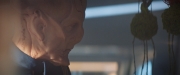 Filename=extant_StarTrekDiscovery_2x13-SuchSweetSorrowPart1_00334.jpg
Filesize=105KiB
Dimensions=1920x800
Date added=Dec 09, 2019 extant_StarTrekDiscovery_2x13-SuchSweetSorrowPart1_00334.jpg