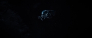 Filename=extant_StarTrekDiscovery_2x13-SuchSweetSorrowPart1_03058.jpg
Filesize=30KiB
Dimensions=1920x800
Date added=Dec 09, 2019 extant_StarTrekDiscovery_2x13-SuchSweetSorrowPart1_03058.jpg