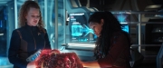 Filename=extant_StarTrekDiscovery_2x13-SuchSweetSorrowPart1_03427.jpg
Filesize=184KiB
Dimensions=1920x800
Date added=Dec 09, 2019 extant_StarTrekDiscovery_2x13-SuchSweetSorrowPart1_03427.jpg