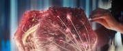 Filename=extant_StarTrekDiscovery_2x13-SuchSweetSorrowPart1_03460.jpg
Filesize=201KiB
Dimensions=1920x800
Date added=Dec 09, 2019 extant_StarTrekDiscovery_2x13-SuchSweetSorrowPart1_03460.jpg
