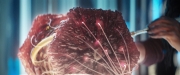 Filename=extant_StarTrekDiscovery_2x13-SuchSweetSorrowPart1_03462.jpg
Filesize=210KiB
Dimensions=1920x800
Date added=Dec 09, 2019 extant_StarTrekDiscovery_2x13-SuchSweetSorrowPart1_03462.jpg