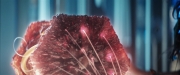 Filename=extant_StarTrekDiscovery_2x13-SuchSweetSorrowPart1_03471.jpg
Filesize=188KiB
Dimensions=1920x800
Date added=Dec 09, 2019 extant_StarTrekDiscovery_2x13-SuchSweetSorrowPart1_03471.jpg