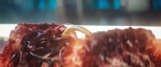 Filename=extant_StarTrekDiscovery_2x13-SuchSweetSorrowPart1_03473.jpg
Filesize=137KiB
Dimensions=1920x800
Date added=Dec 09, 2019 extant_StarTrekDiscovery_2x13-SuchSweetSorrowPart1_03473.jpg