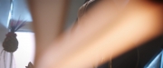 Filename=extant_StarTrekDiscovery_2x13-SuchSweetSorrowPart1_04477.jpg
Filesize=74KiB
Dimensions=1920x800
Date added=Dec 09, 2019 extant_StarTrekDiscovery_2x13-SuchSweetSorrowPart1_04477.jpg