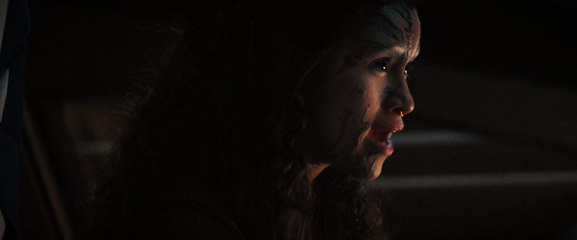 extant_StarTrekDiscovery_2x14-SuchSweetSorrowPart2_01213.jpg