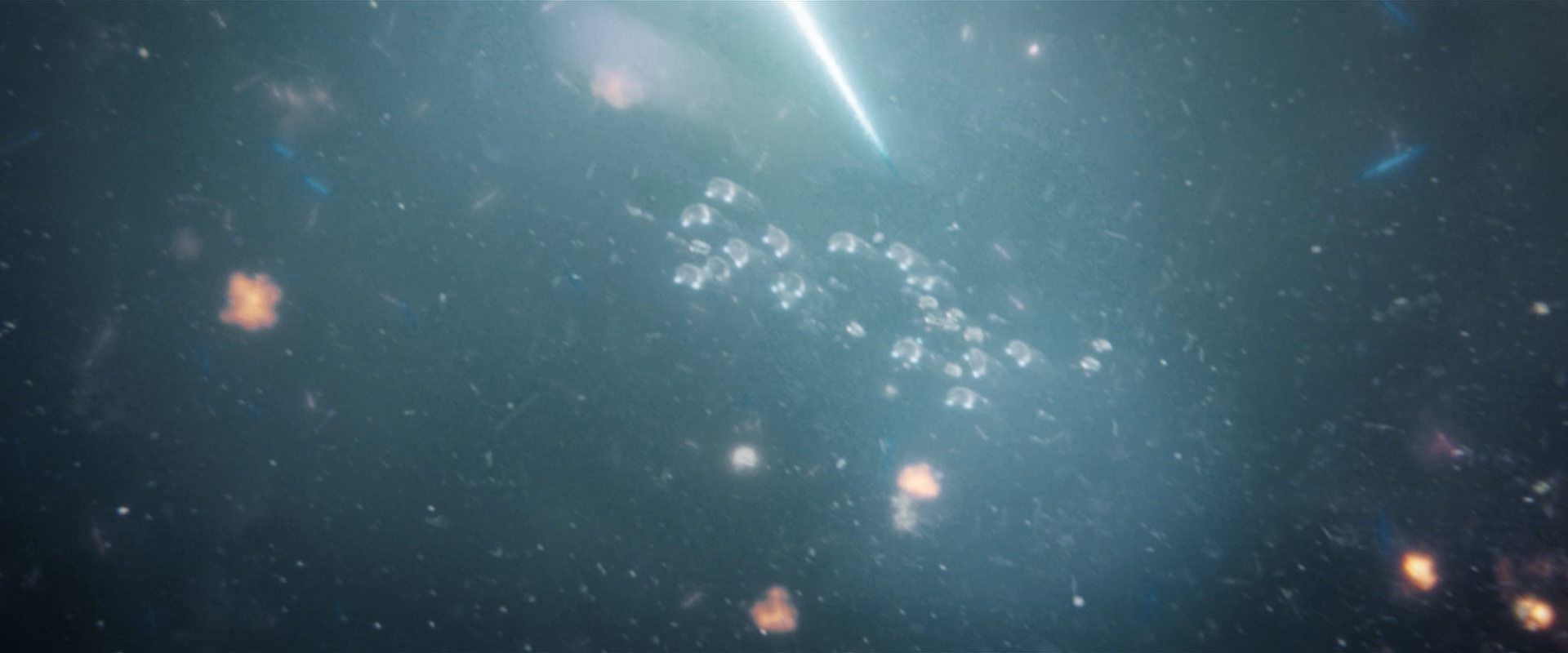 extant_StarTrekDiscovery_2x14-SuchSweetSorrowPart2_02221.jpg