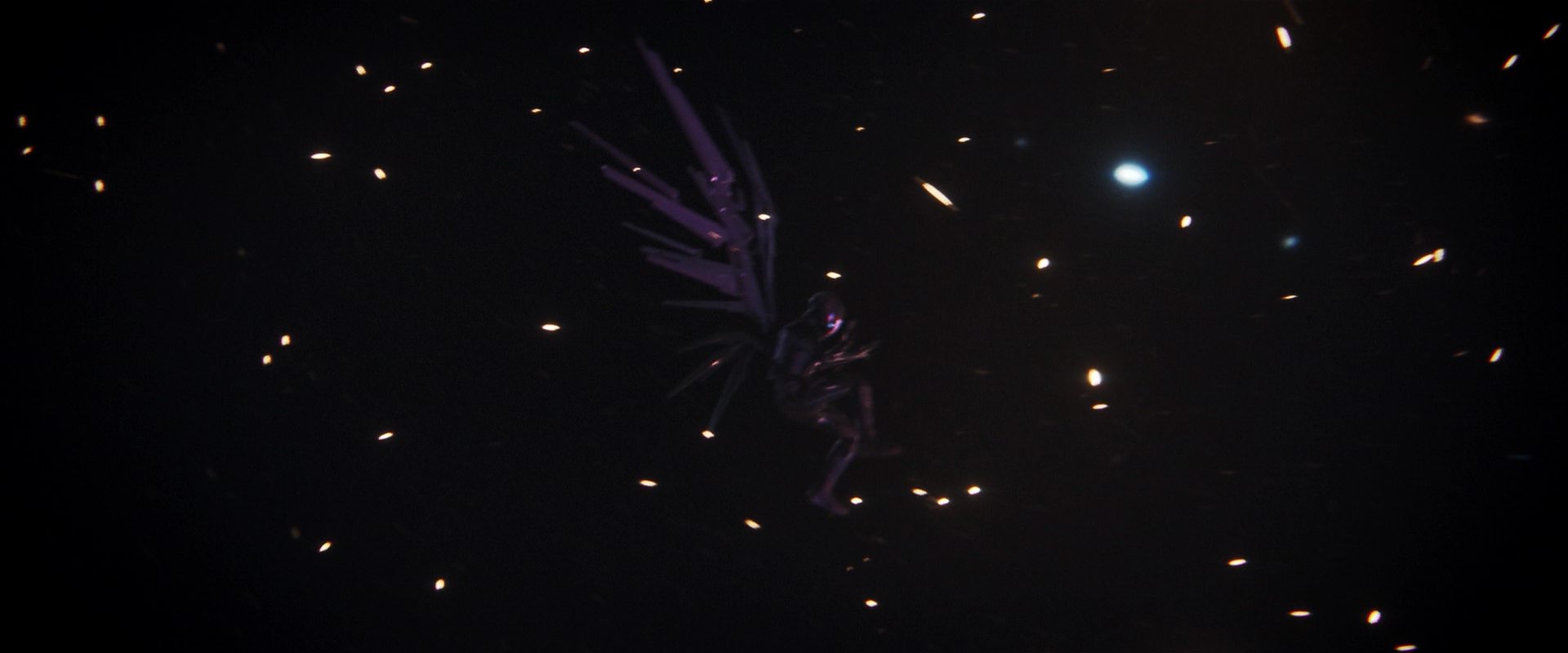 extant_StarTrekDiscovery_2x14-SuchSweetSorrowPart2_04172.jpg