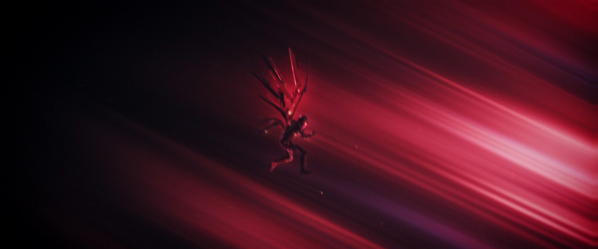 extant_StarTrekDiscovery_2x14-SuchSweetSorrowPart2_04174.jpg