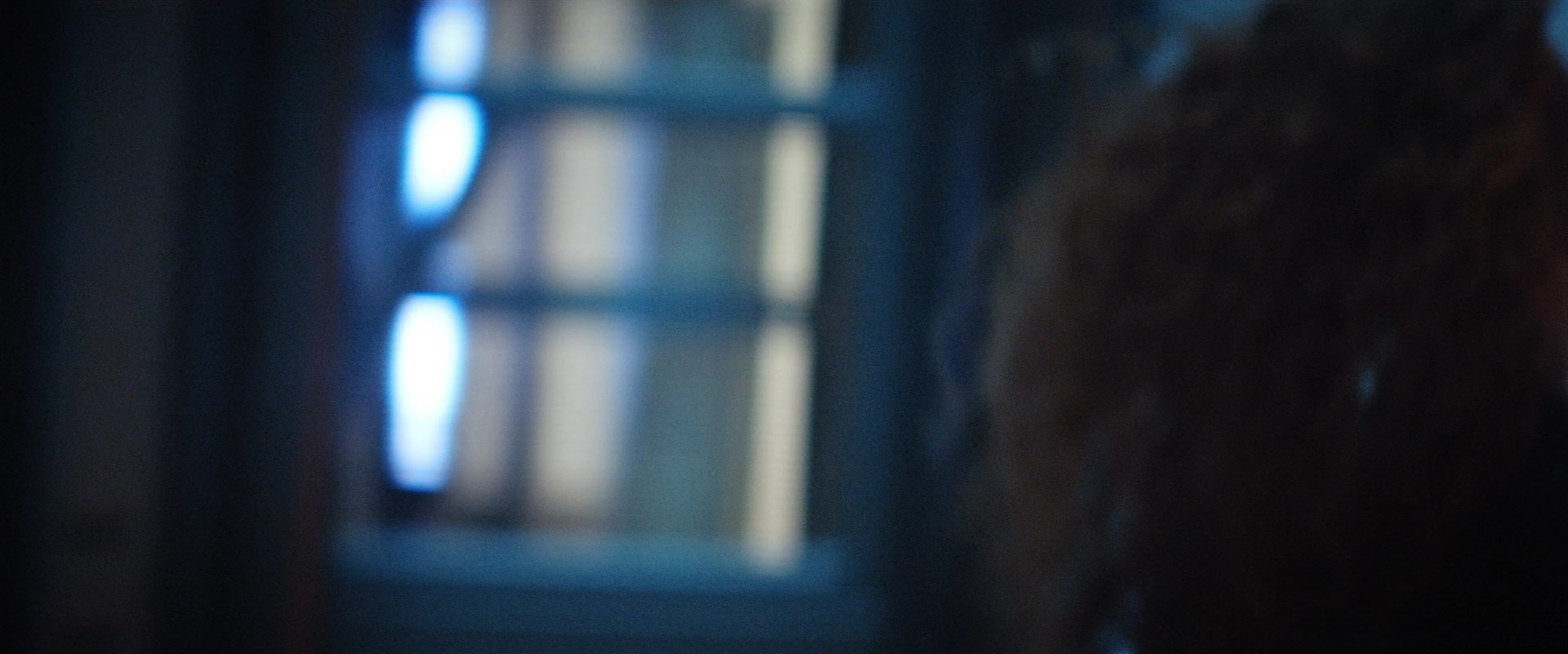 extant_StarTrekDiscovery_2x14-SuchSweetSorrowPart2_04509.jpg