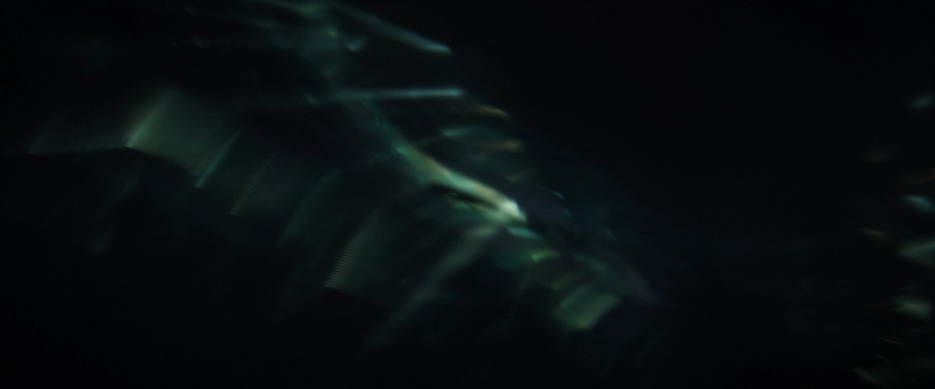 extant_StarTrekDiscovery_2x14-SuchSweetSorrowPart2_05009.jpg