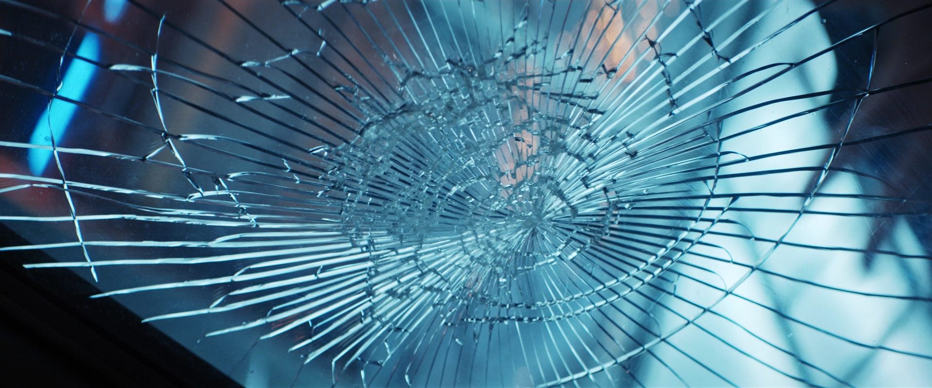 extant_StarTrekDiscovery_2x14-SuchSweetSorrowPart2_05922.jpg