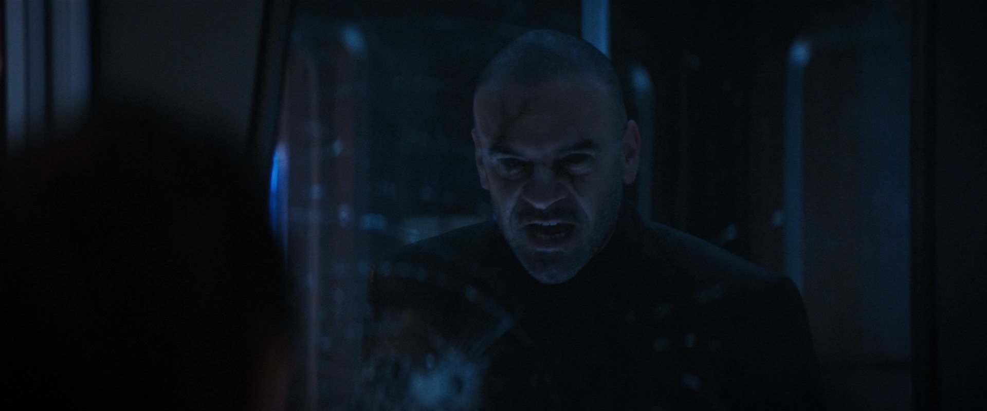 extant_StarTrekDiscovery_2x14-SuchSweetSorrowPart2_06333.jpg