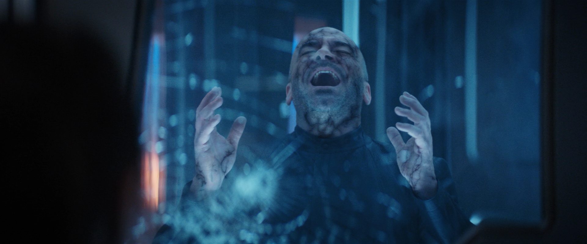 extant_StarTrekDiscovery_2x14-SuchSweetSorrowPart2_06357.jpg