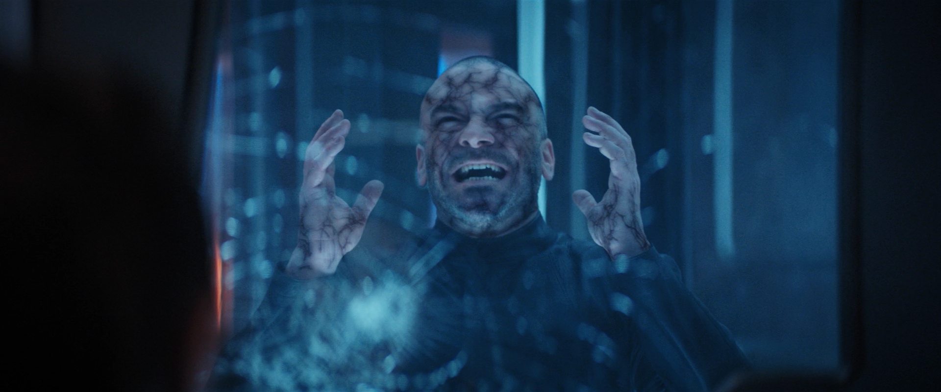 extant_StarTrekDiscovery_2x14-SuchSweetSorrowPart2_06359.jpg