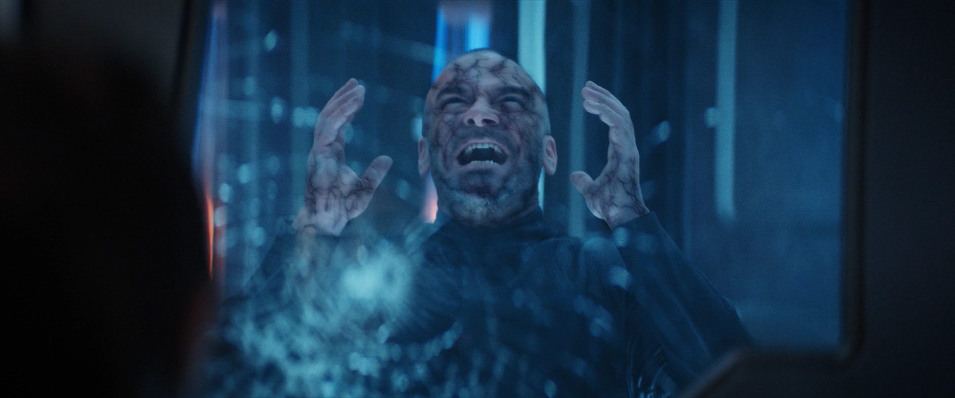 extant_StarTrekDiscovery_2x14-SuchSweetSorrowPart2_06361.jpg